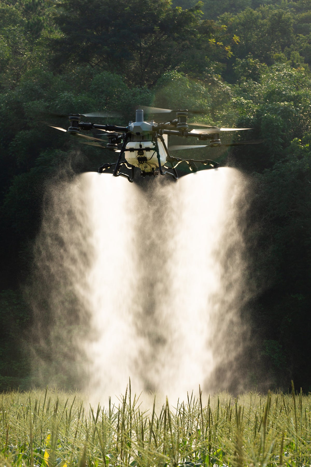 DJI AGRAS T100 Agrardrohne